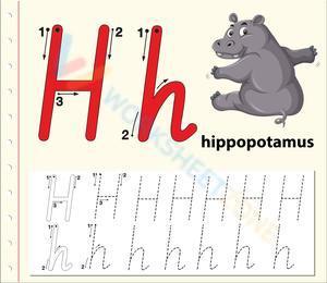 H is Hippopotamus