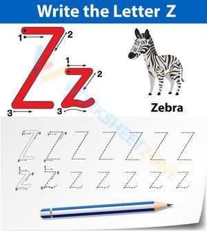 Z is for Zebra 2