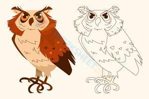 Little owl coloring