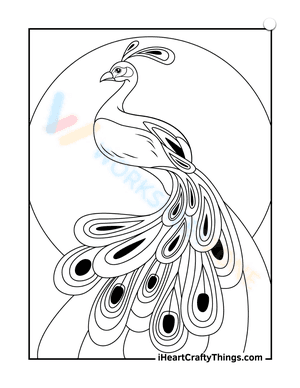 Pride Peacock