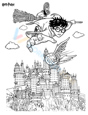 Flying Harry Potter
