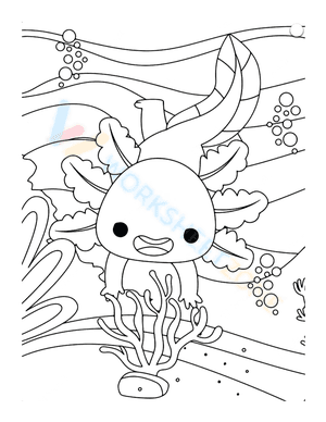Playful Axolotl
