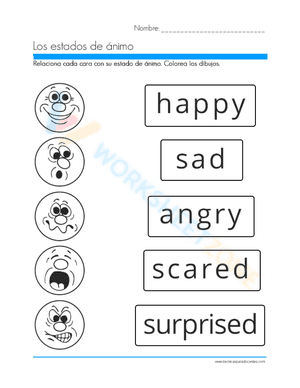 Match the emotions
