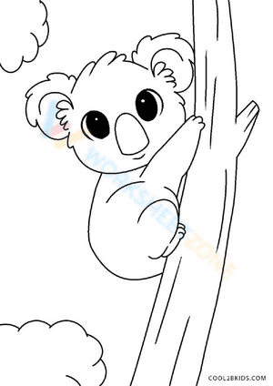 Cute Koala
