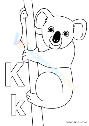K for Koala