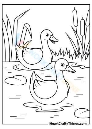 Two happy ducks