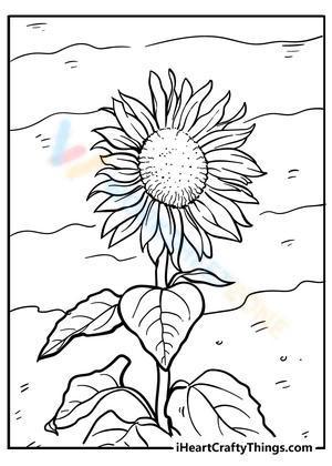 Little Sunflower 