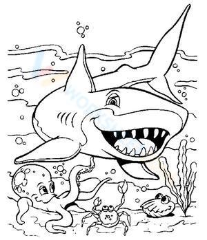 Shark and ocean animals