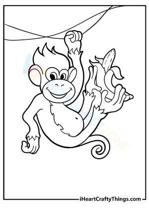Cheerful monkey