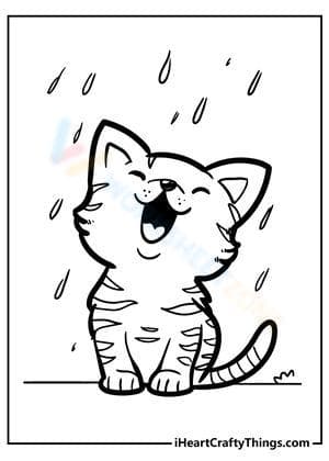 Happy kitten under the rain