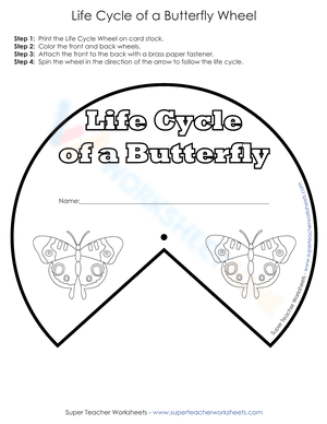 Life Cycle of a Butterfly Wheel