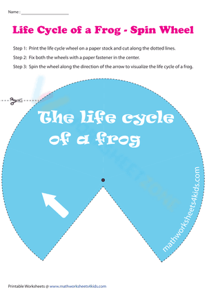 Life Cycle of a Frog - Spin Wheel