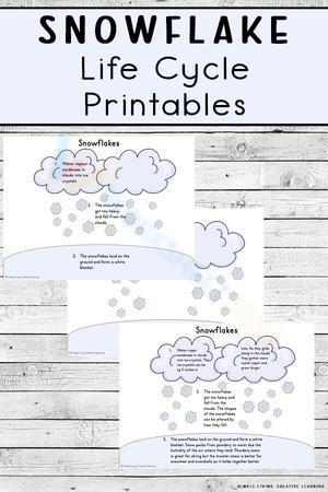 Snowflake life cycle printables