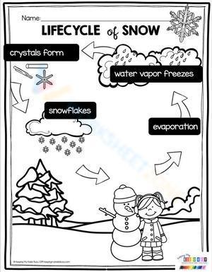Life cycle of snow