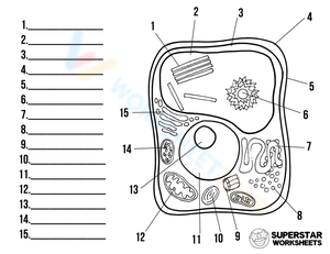 Plant Cell Label