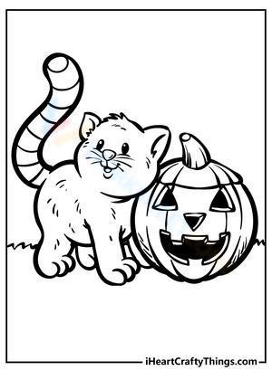 Halloween kitty with a pumpkin
