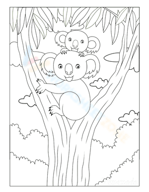 Kola and Baby in the tree