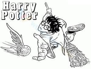 Harry Playing Quidditch