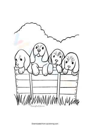 Four cute dog on the fence