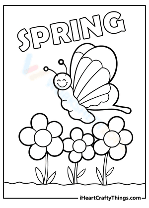 Butterfly and spring