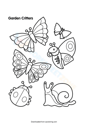 Butterfly and snail