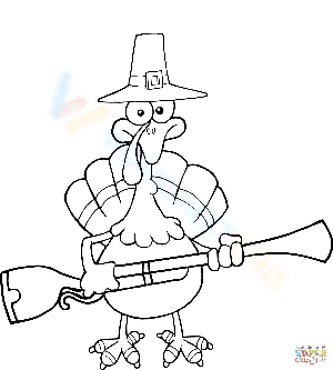 Turkey with a Musket