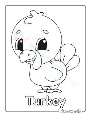 Cute Baby Turkey