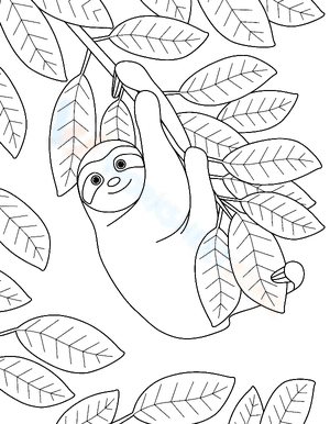 Sloth with Leaves