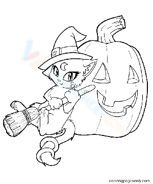 Witch Cat with Pumpkin