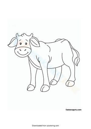 This is a cow