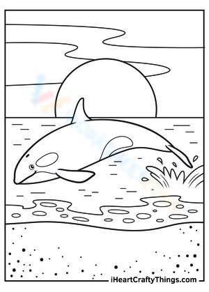 Adorable whale