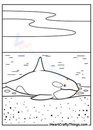 Lazy whale
