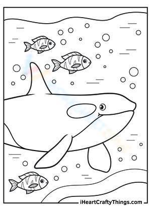 Whale and his ocean friends