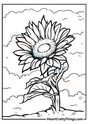 Sunflower in the wind