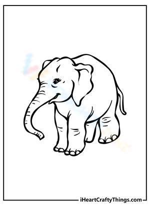 Angry elephant