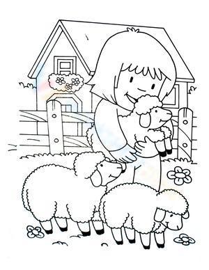 Sheep in the farm