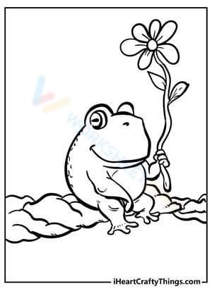 Frog and a flower