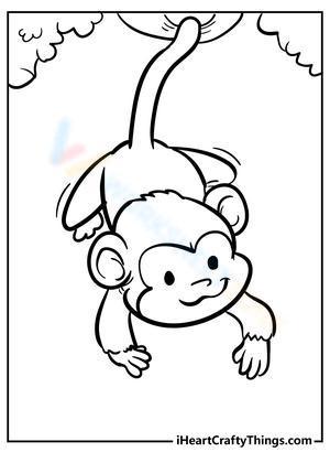 A little monkey