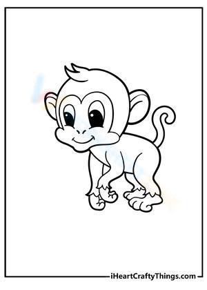 Adorable monkey