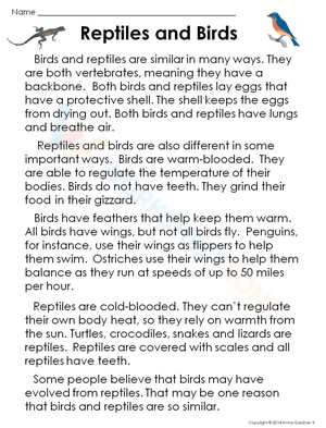 Reptiles and birds