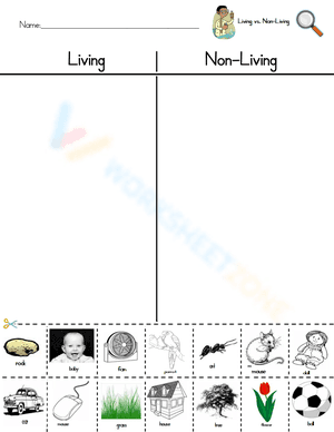 Sort living vs nonliving things