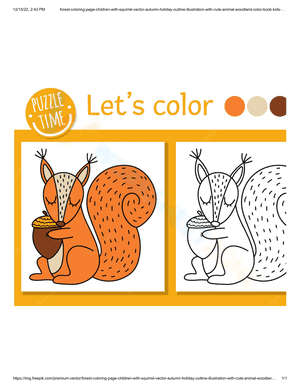 Color squirrel