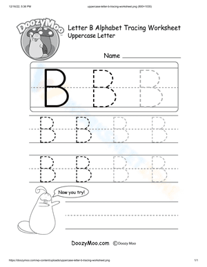 Uppercase letter B