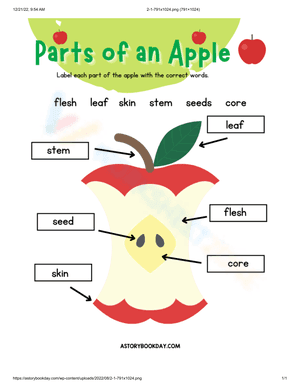 Parts of an apple