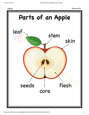 Part of an apple
