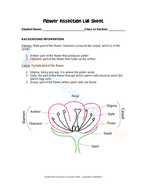 Flower Dissection Lab Sheet