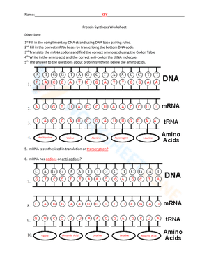 Protein Synthesis Worksheet 1