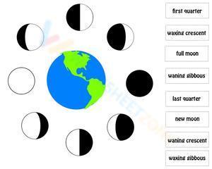 Phases of the moon 4