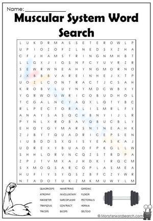 Muscle system wordsearch