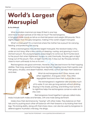 World's Largest Marsupial